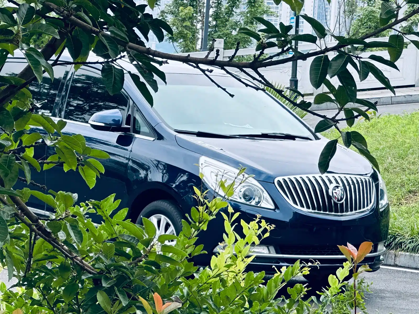 Фото 4 - Buick GL8