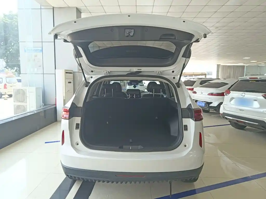 Haval H6 2024 2021 3rd Generation 2.0T Auto AWD Max