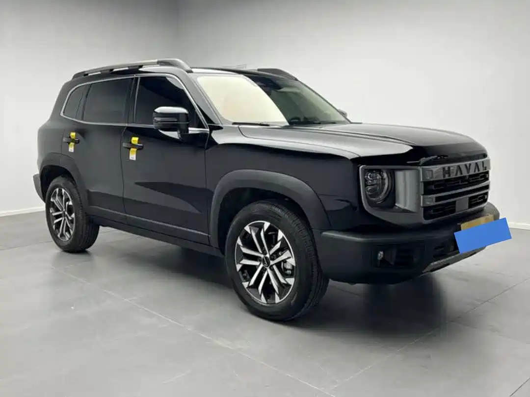 HAVAL BIG DOG