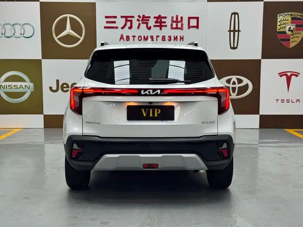 Kia Seltos 2024 2023 1.5L CVT Luxury Edition