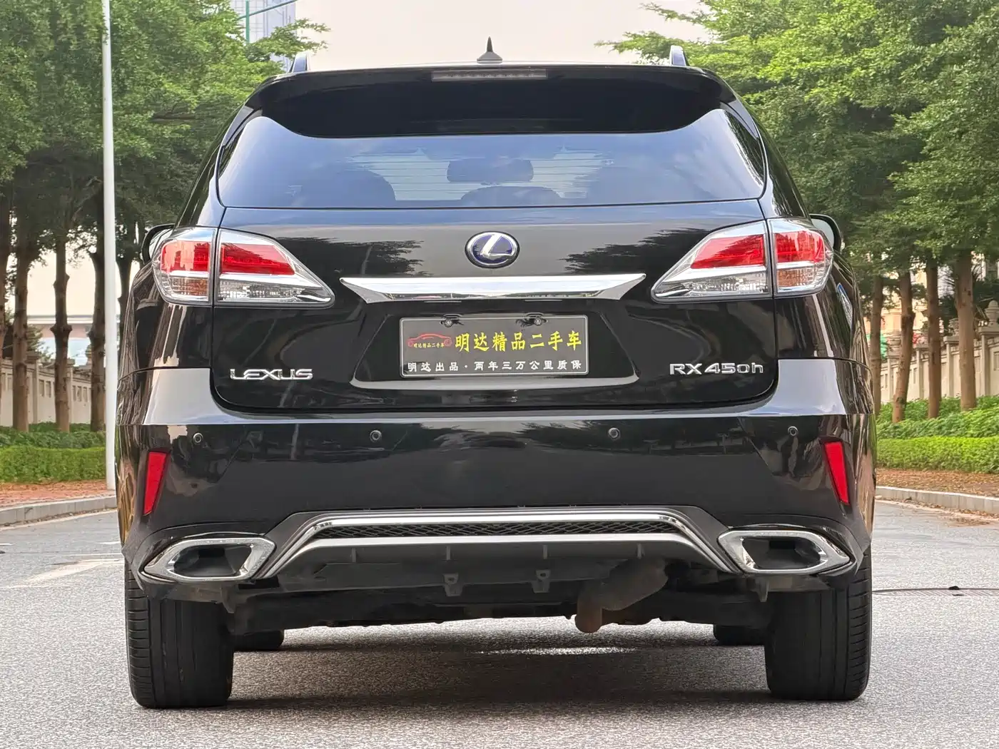 Photo 14 - Lexus RX Classic