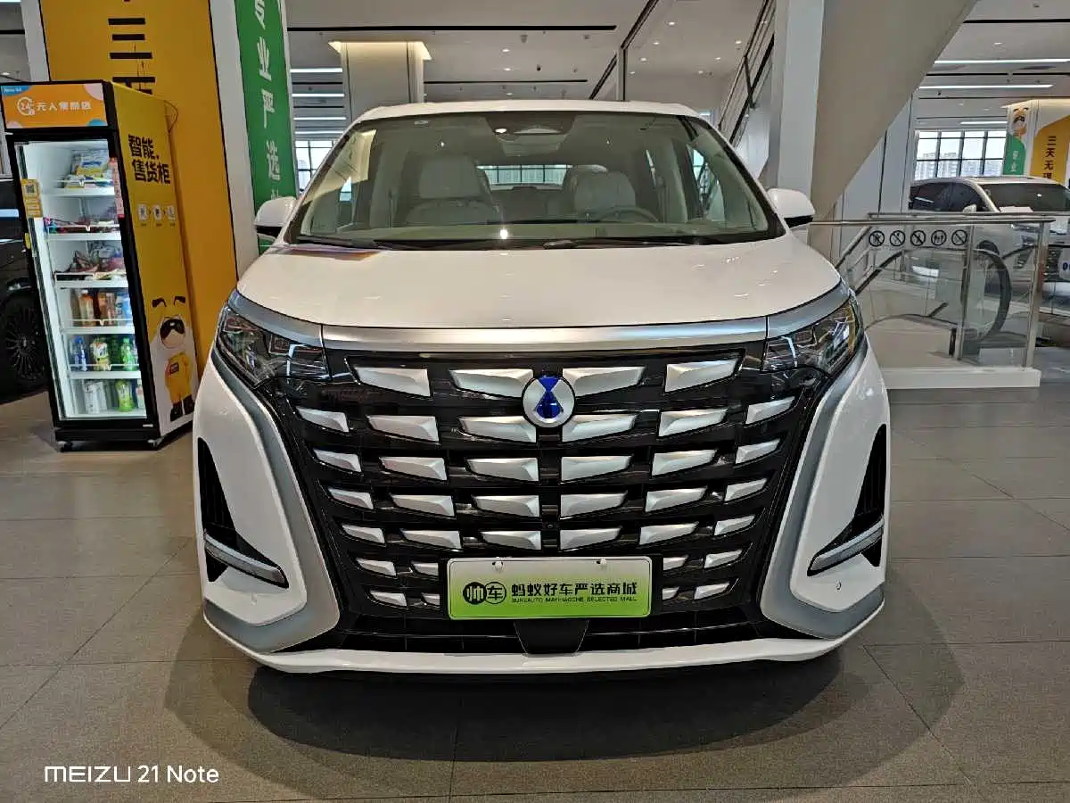Denza D9 2022 DM-i 970 All-Wheel Drive Honor Edition фото 2