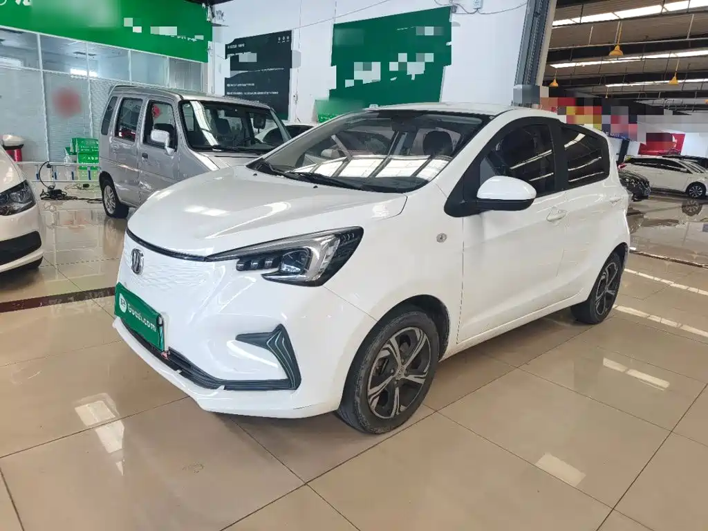 Changan Benben E-Star 2020 2020 Heartbeat Edition (NMC Battery)