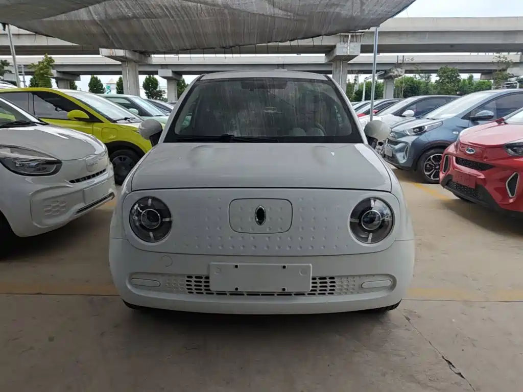 Ora Black Cat 2020 2021 301km Basic Model