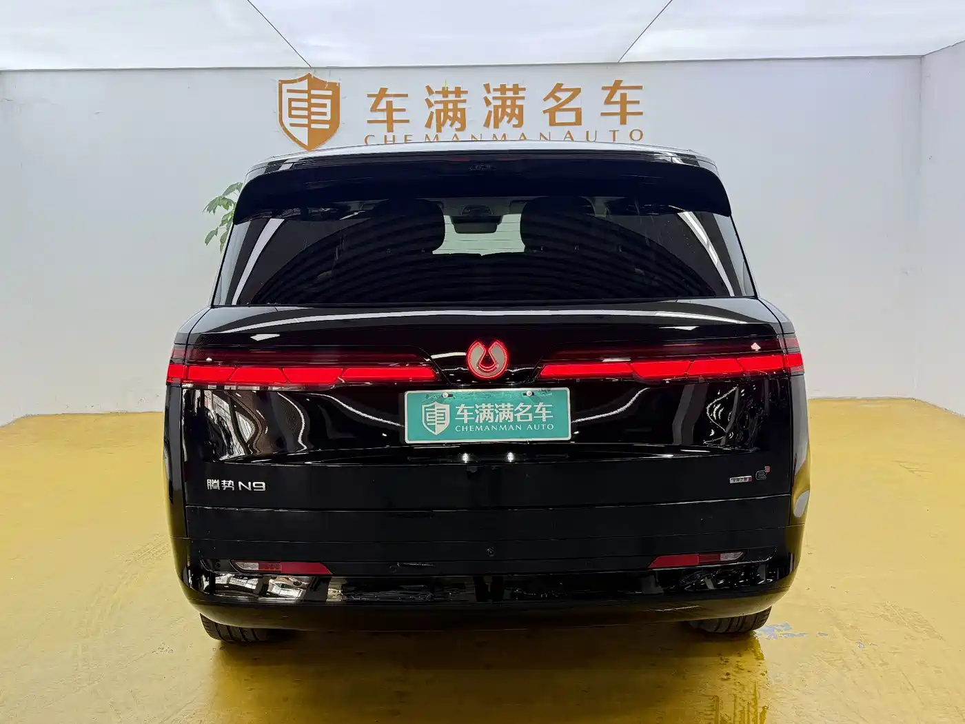 Denza N9 2025 2025 Model Prestige Edition