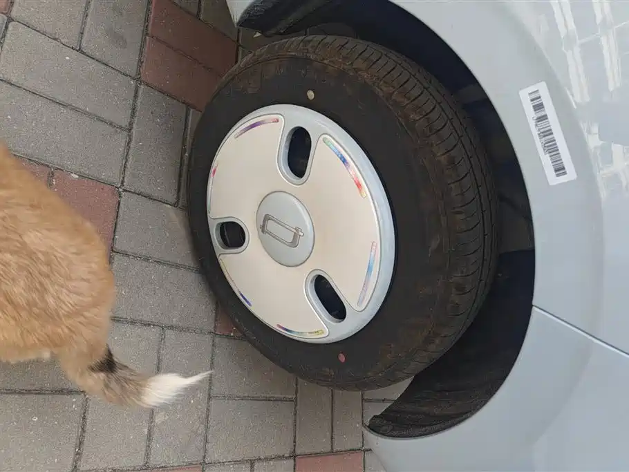 BESTUNE PENTIUM PONY