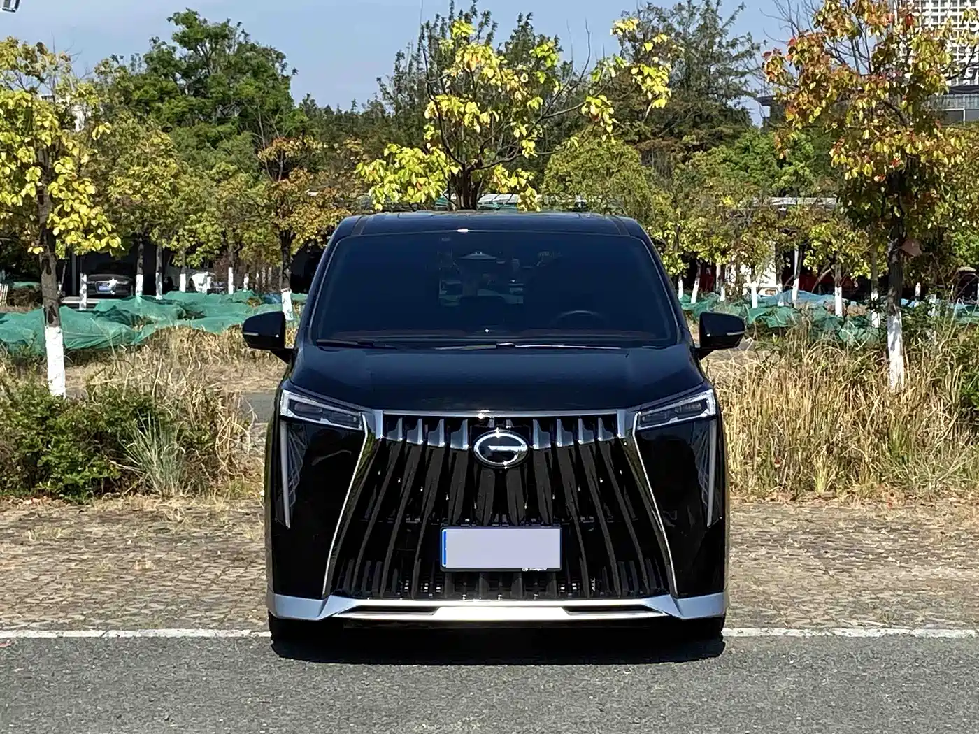 GAC Trumpchi Trumpchi M8 2023 Model Master Series 400T Ultimate Edition фото 2