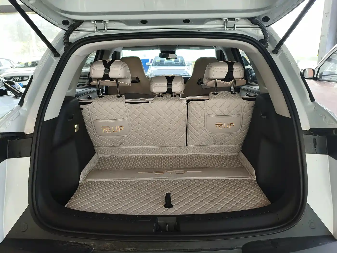 BYD Yuan UP 2026 2025 Model 301KM Navigator