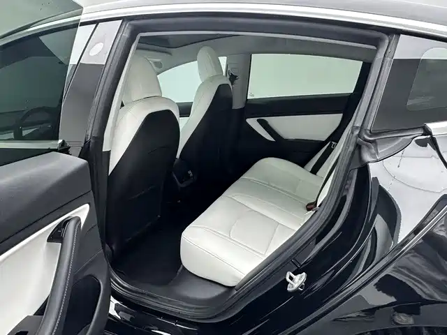 Tesla Model 3 (Import) 2019 2019 Long Range RWD Version
