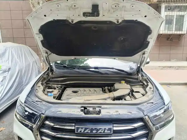 Haval H6 2021 National Trend Edition 1.5T Automatic Urban Edition — фото 3