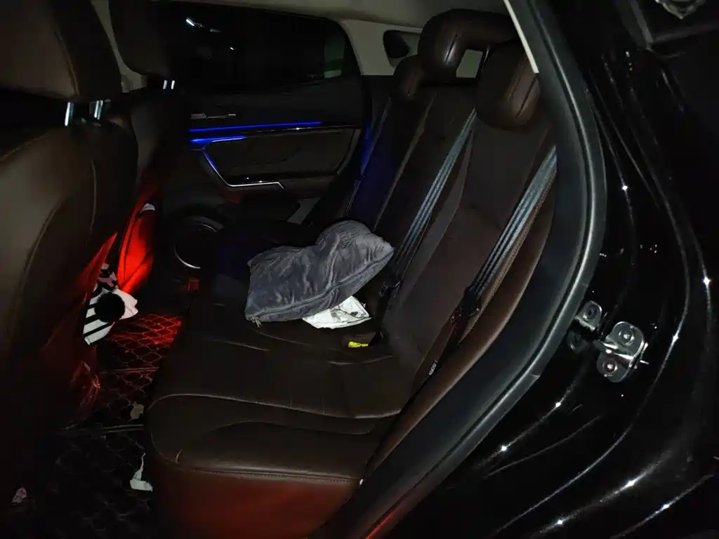 WEY VV5 2017 2017 2.0T Flagship Model