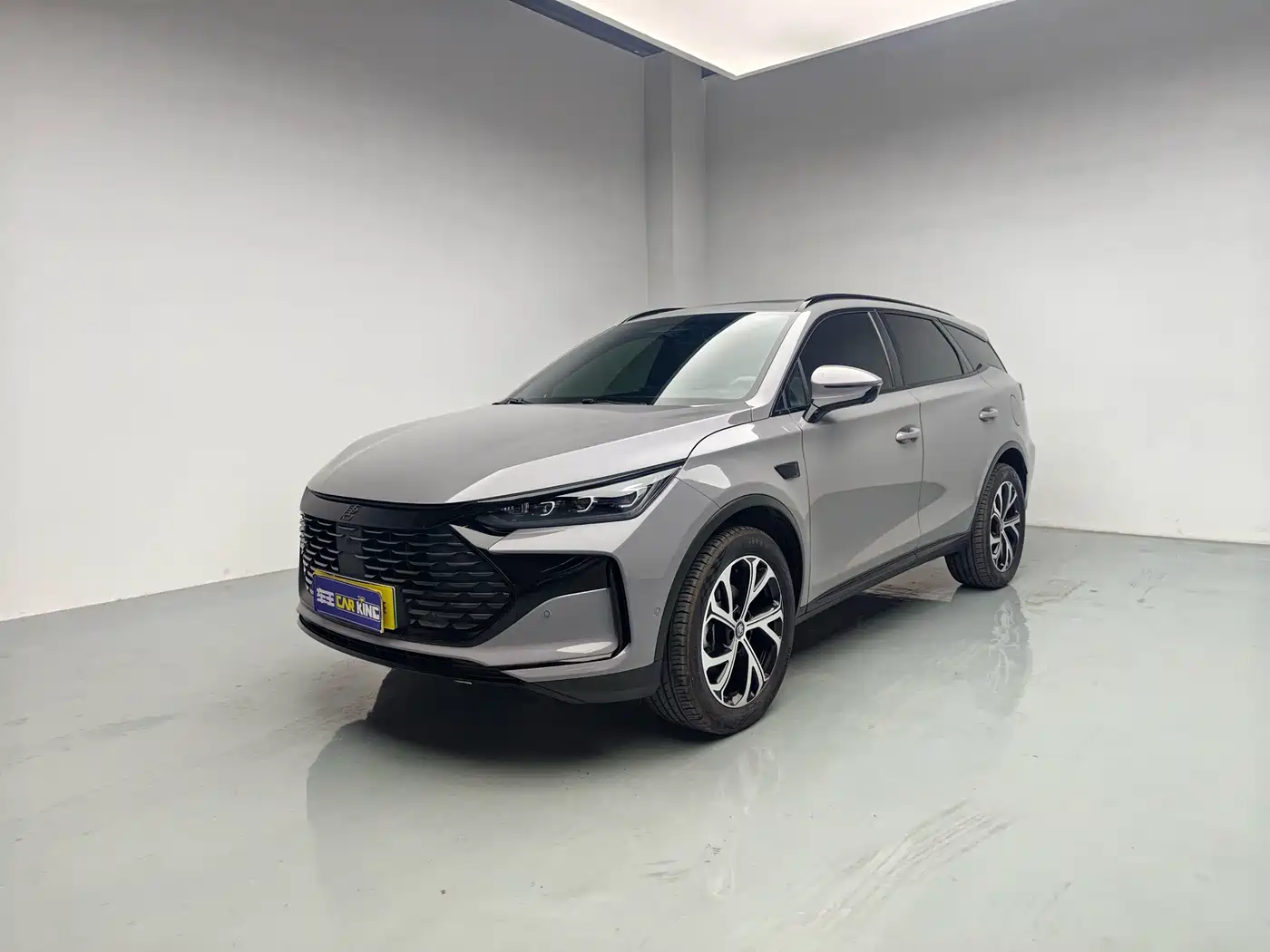 BYD Tang New Energy 2025 2025 Smart Driving Edition DM-i 115KM Flagship