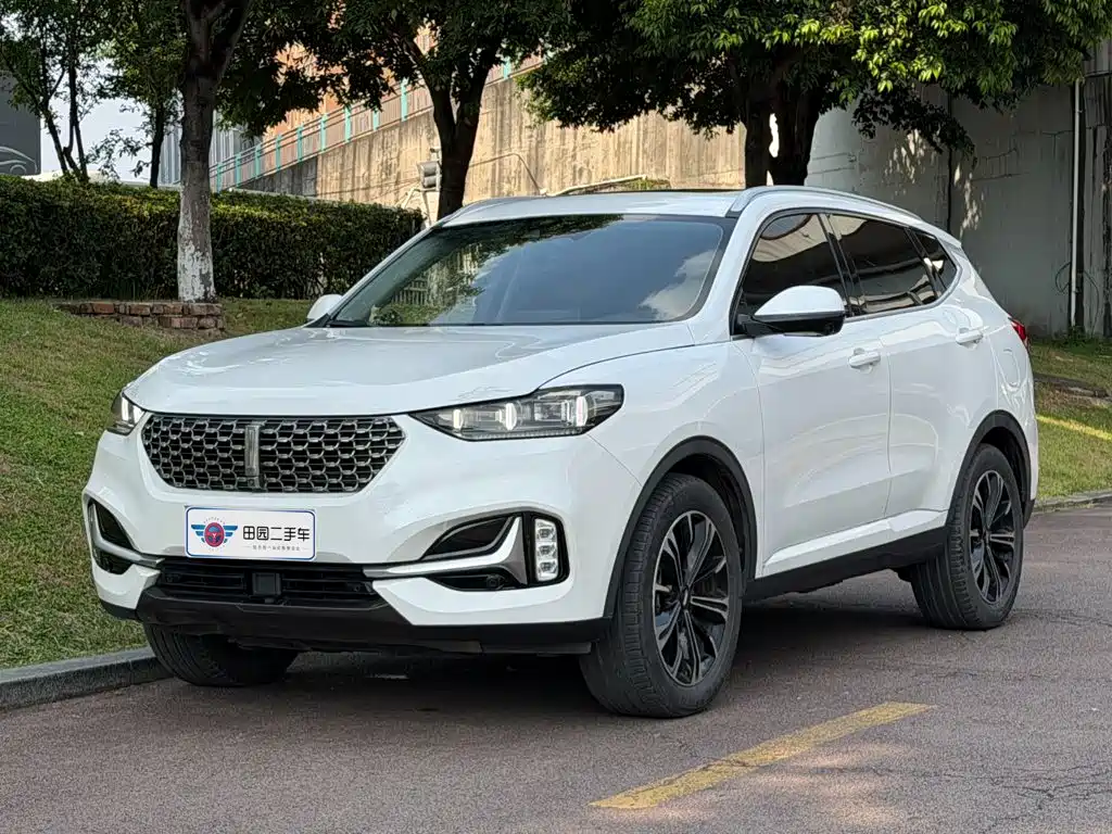 WEY VV6 2021 2021 2.0T 2WD Smart Enjoyment+
