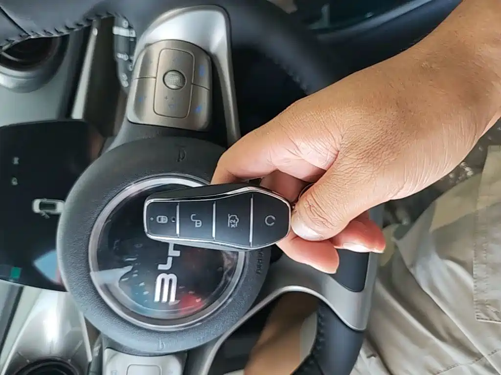 BYD Dolphin 2026 2025 420km Freedom Edition