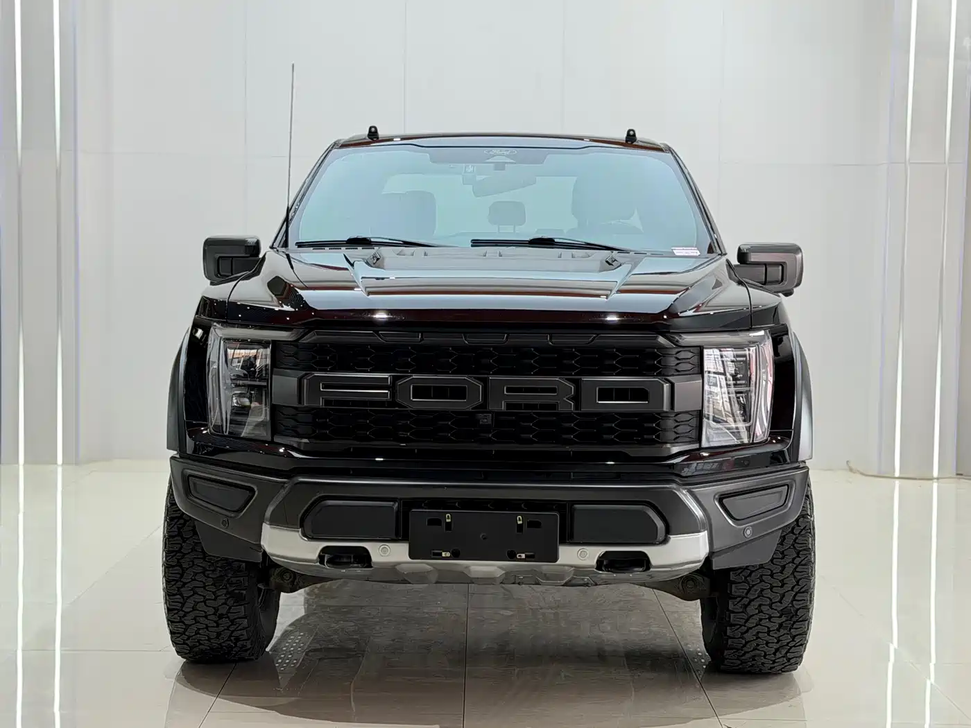 FORD F-150 RAPTOR