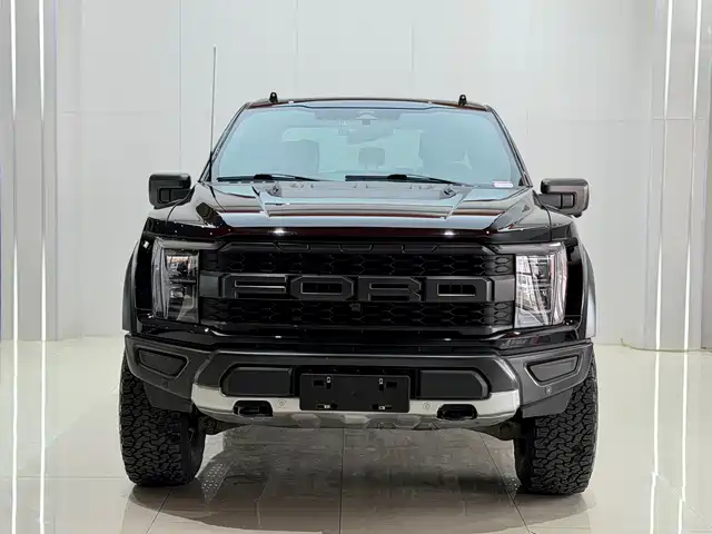 FORD F 150 RAPTOR