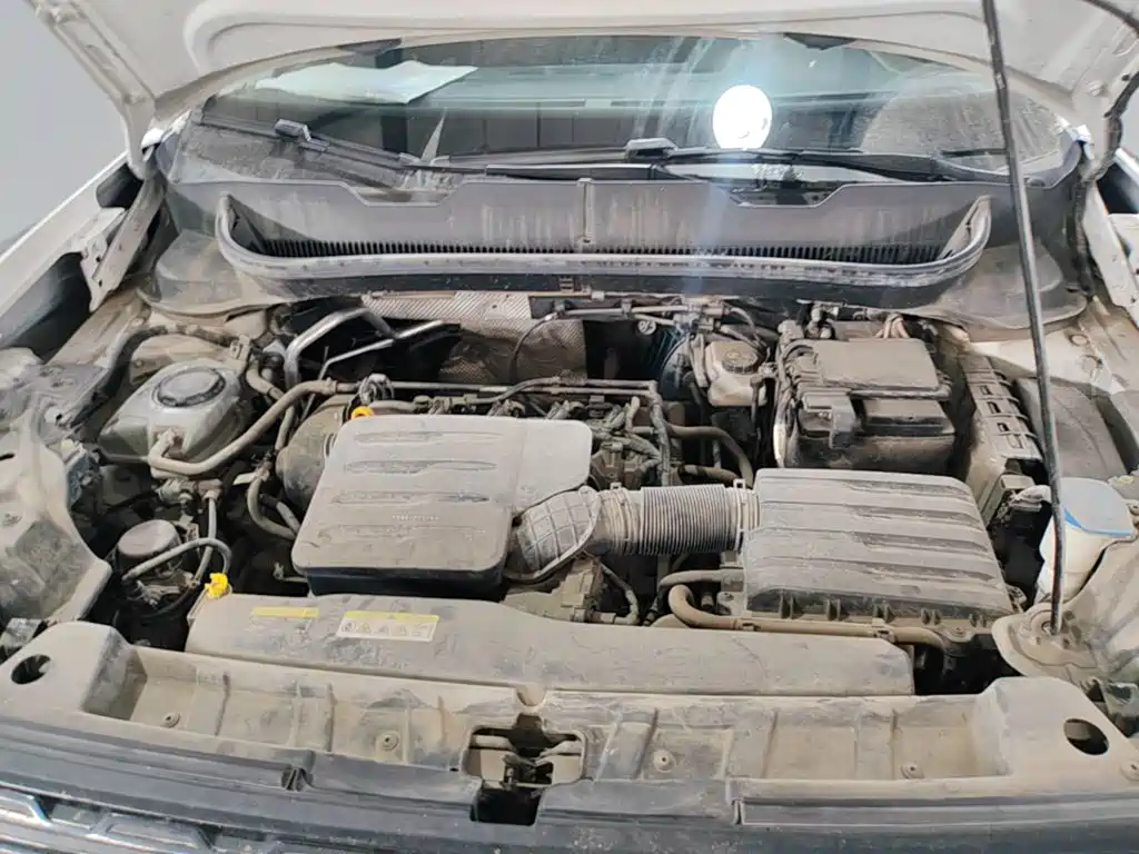 Volkswagen Tanying 2021 2020 1.5L Automatic Joy Edition