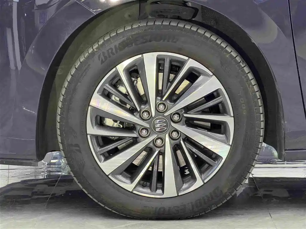 Buick GL8 New Energy 2025 2026 Luzun Premium Luxury Avenir Edition
