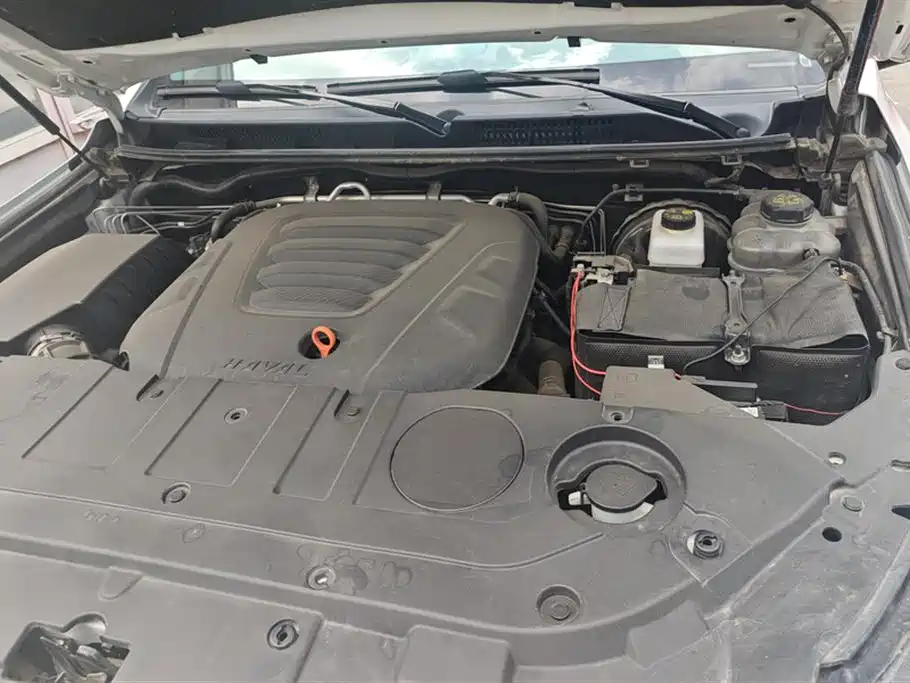 Haval H9 2022 2.0T Gasoline 4WD Luxury 7-seater фото 10