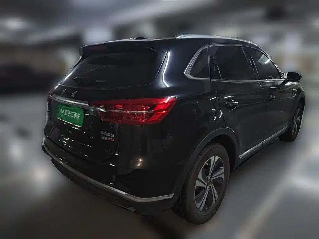 Hongqi HS5 2019 2.0T Smart Connect Enjoy Edition фото 13