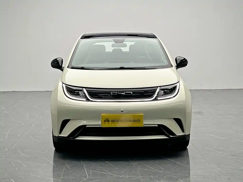 BYD Dolphin 2022 2021 Model 405km Fashion Edition