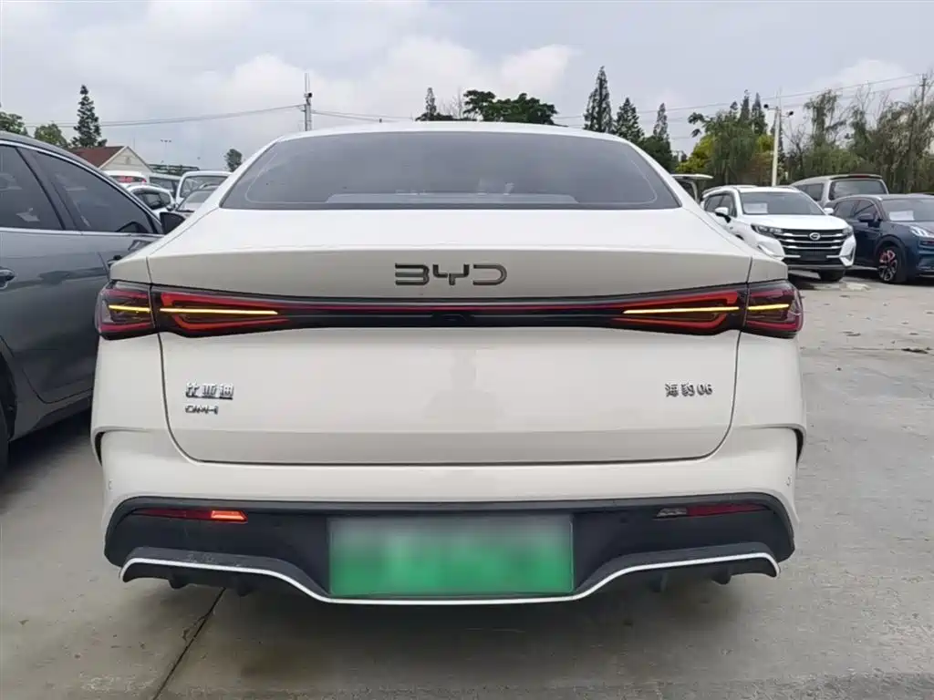 BYD Seal 06 New Energy 2024 DM-i 120KM Premium фото 6