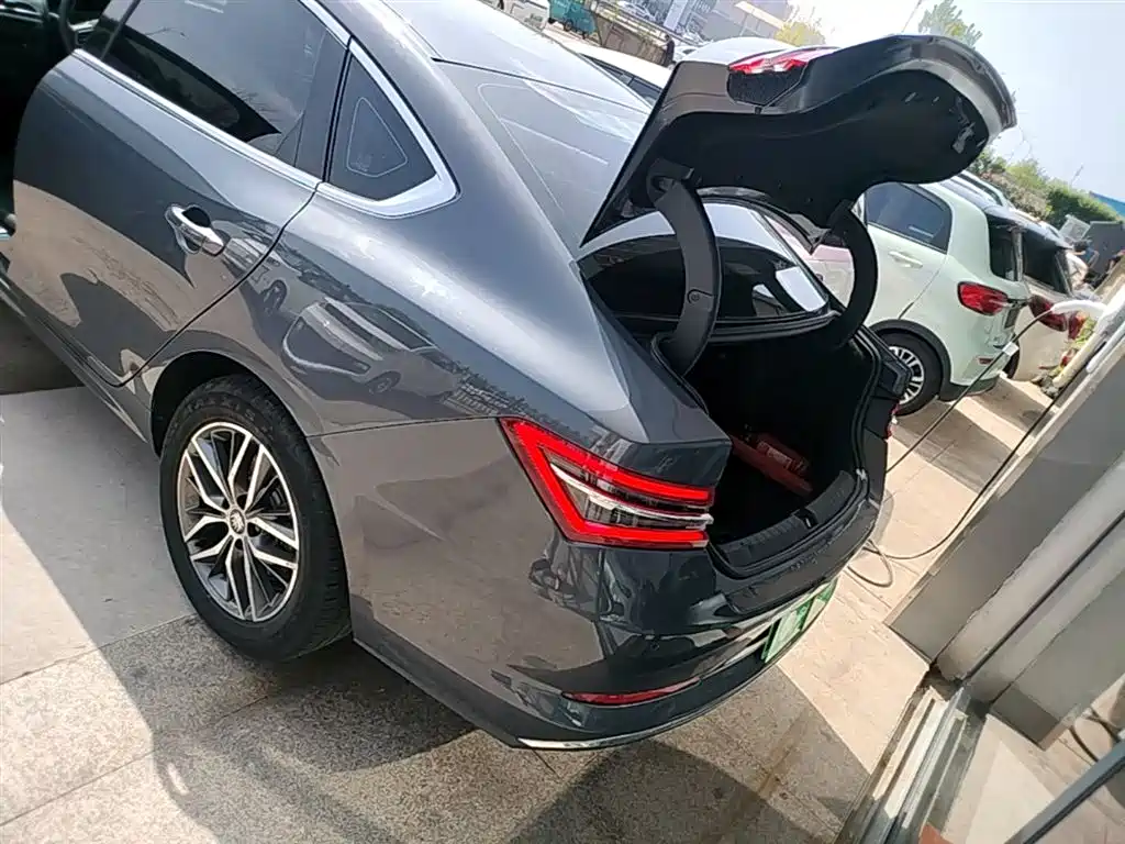 BYD Qin Pro New Energy 2019 EV Super Edition High Power Long Range Smart Connected Pioneer Type фото 19