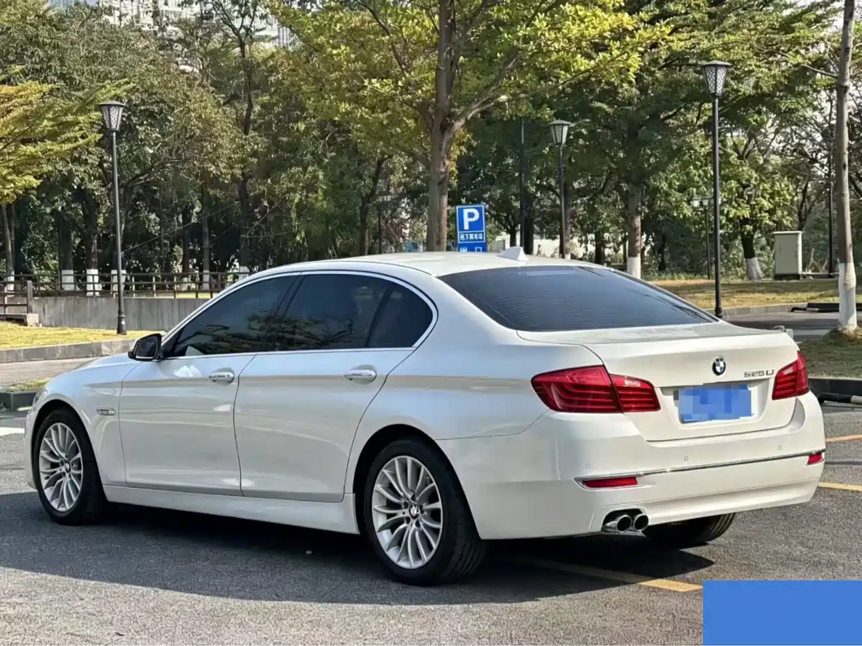 BMW 5 Series 2014 525Li Luxury Design Package фото 4