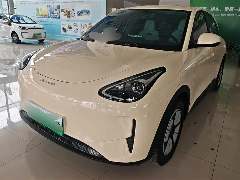 Geely Galaxy Starry Wish 2025 310km Youth Edition