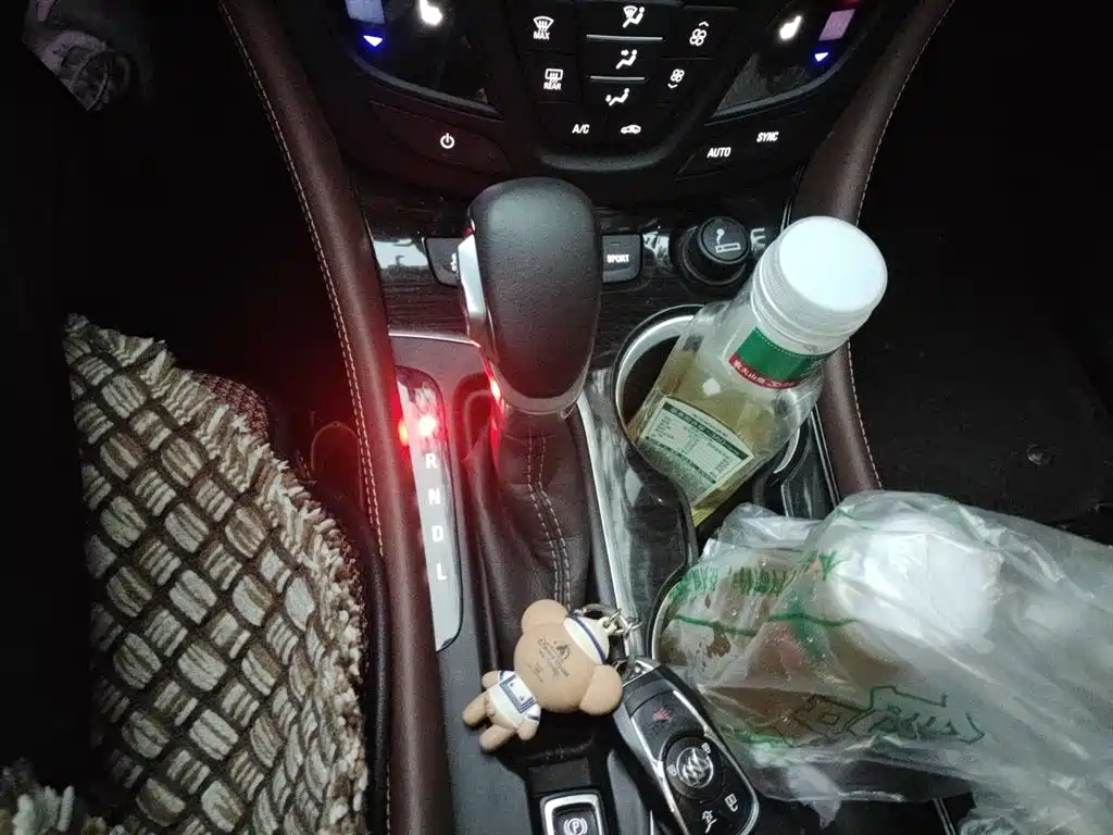 Buick Envision Plus 2018 28T 4WD Luxury фото 7