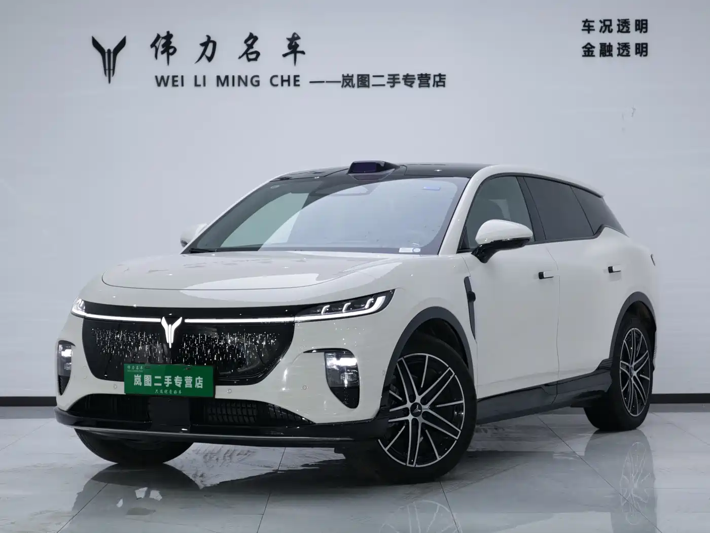 Voyah Zhiyin 2025