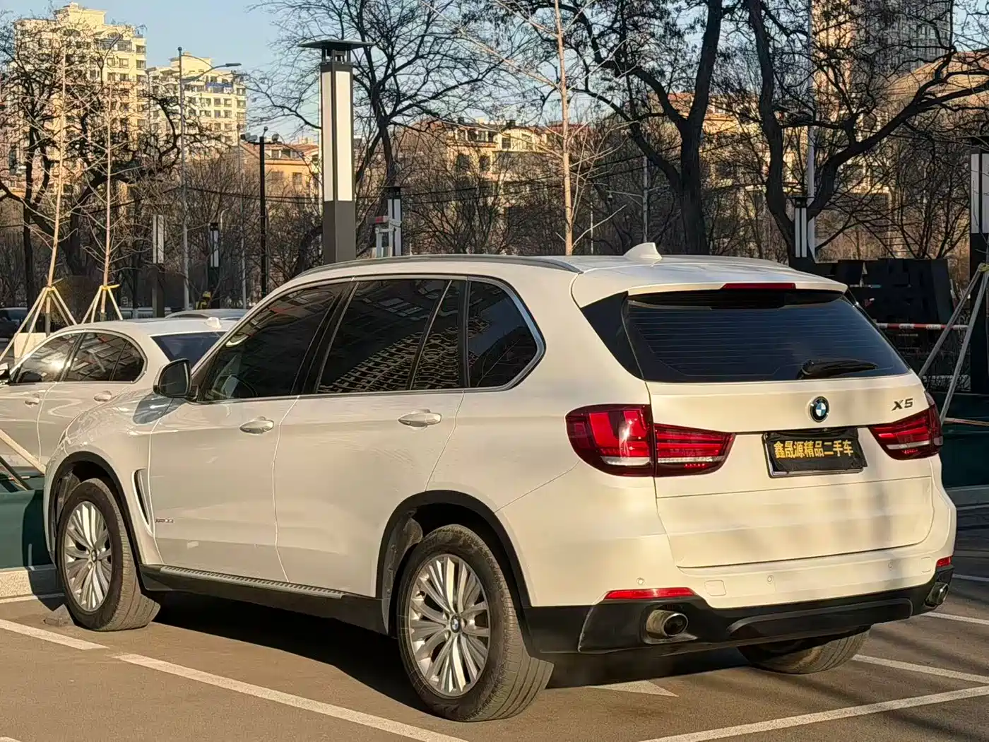 BMW X5 (Import) 2014 xDrive35i Luxury фото 14