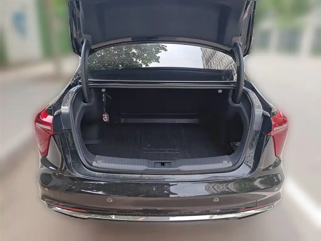 Hongqi H5 2024 2.0T Automatic Smart Connect Flag Smooth Edition фото 15