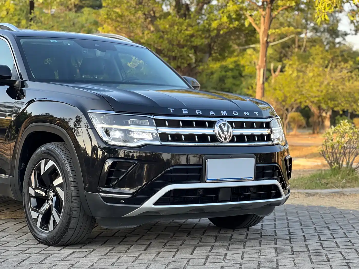 Volkswagen Teramont 2022 330TSI 2WD Premium Luxury фото 4