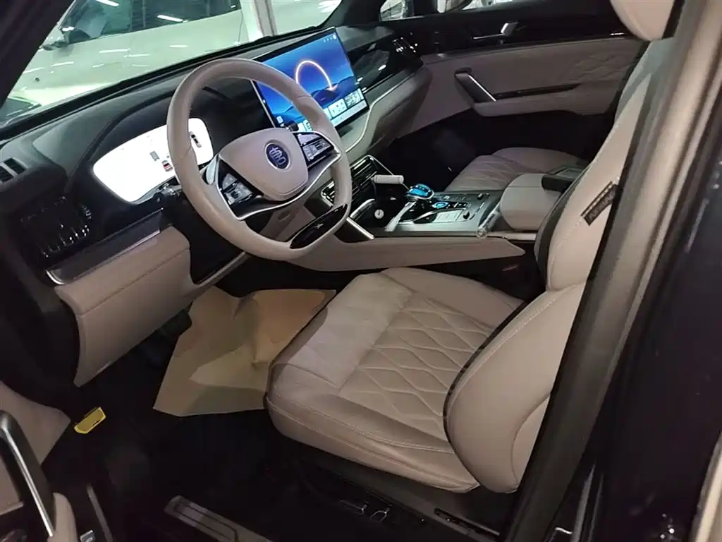 BYD Tang New Energy 2025 DM-i 115KM Premium фото 15