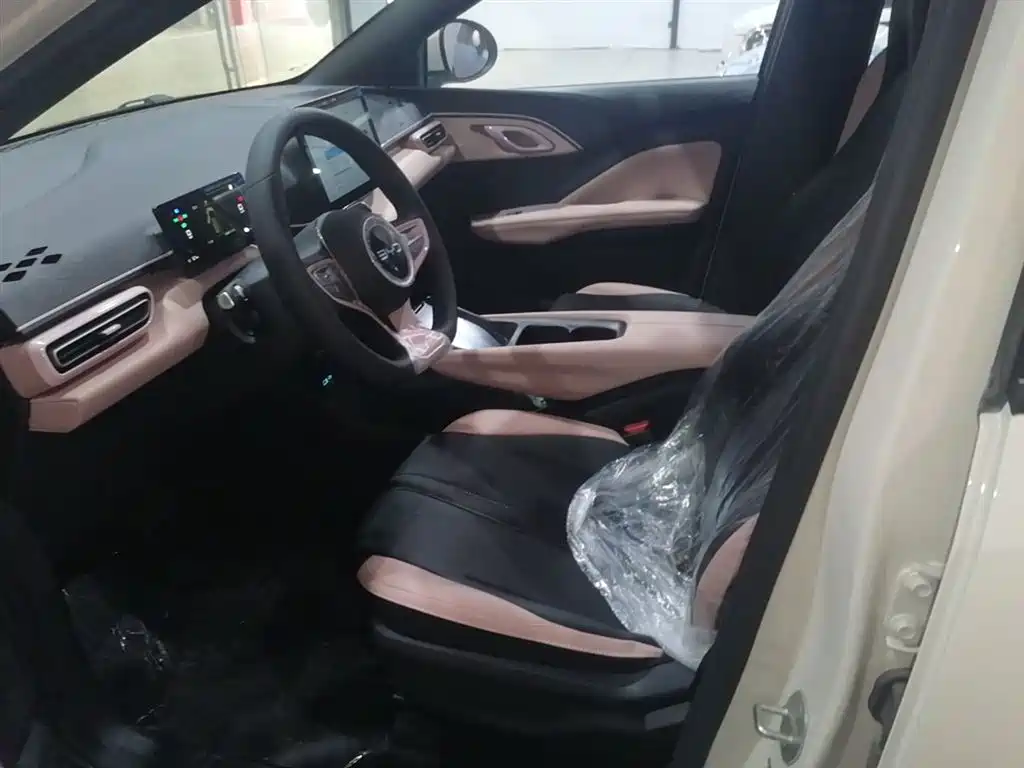 BYD Seagull 2025 Smart Drive Edition 305km Vitality Version фото 15