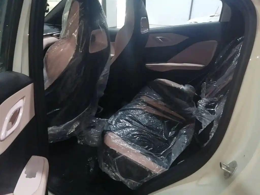 BYD Seagull 2025 Smart Drive Edition 305km Vitality Version фото 17