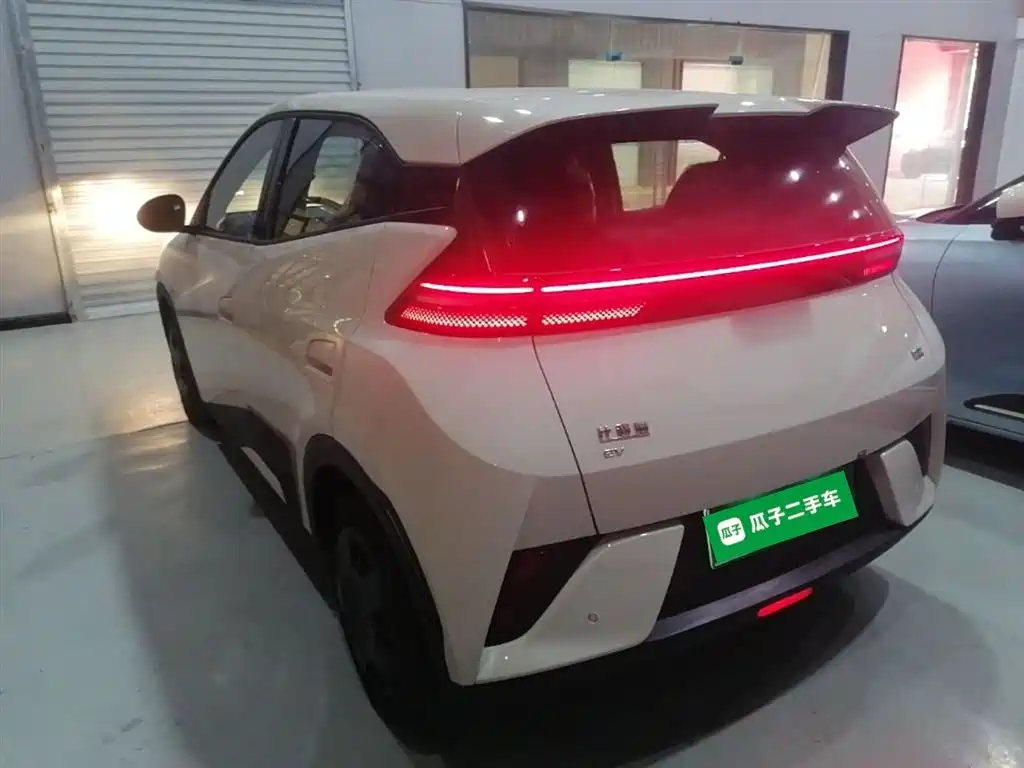 BYD Seagull 2025 Smart Drive Edition 305km Vitality Version фото 5
