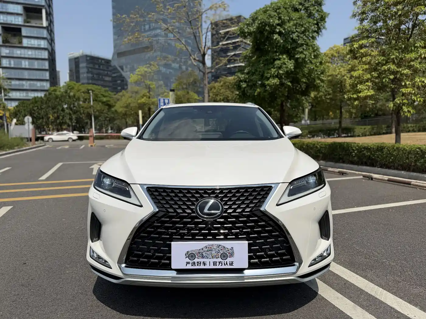 Фото 2 - Lexus RX