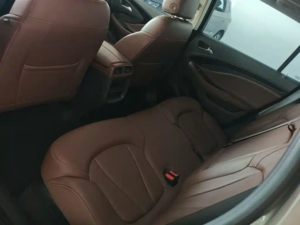 Buick Envision Plus 2018 20T 2WD Luxury фото 13