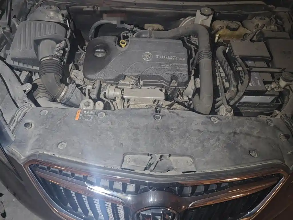 Buick Envision Plus 2018 20T 2WD Luxury фото 11
