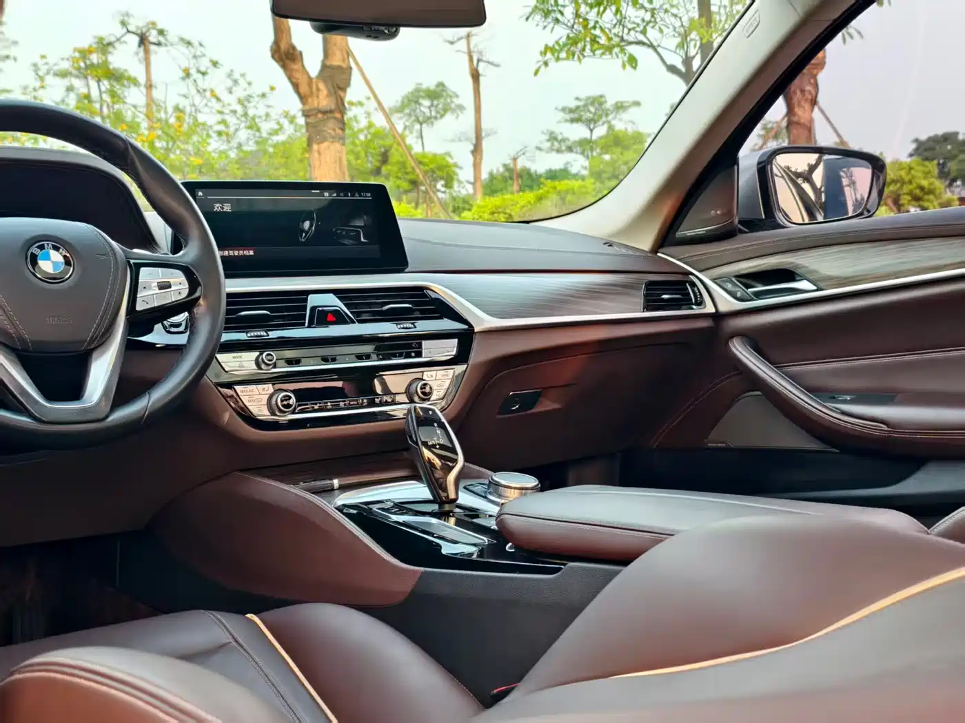 BMW 5 Series 2020 530Li Leading Luxury Package фото 9