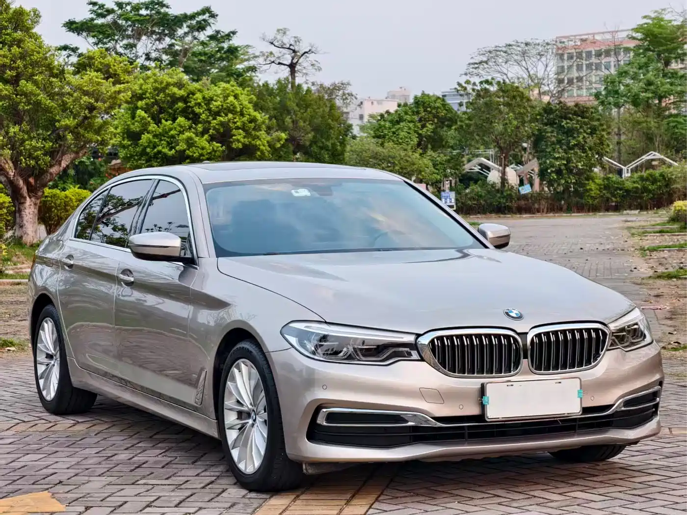BMW 5 Series 2020 530Li Leading Luxury Package фото 2