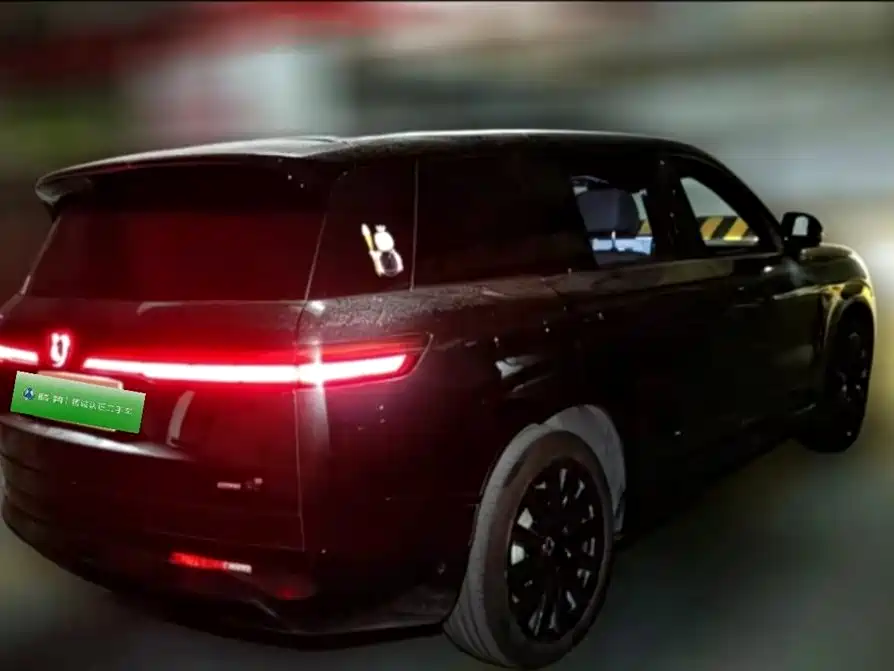 Denza N9 2025 Model Prestige Edition фото 2