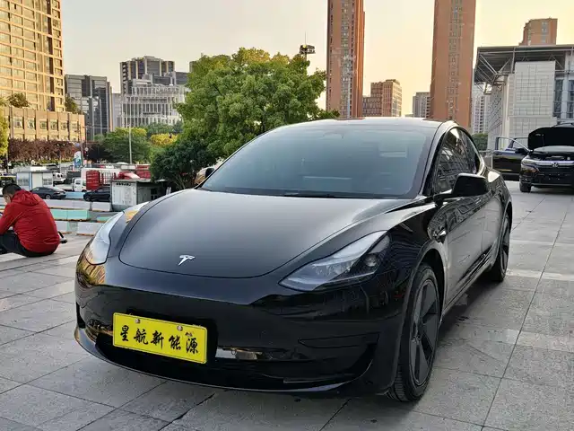 Tesla Model 3 2022 Model Rear-Wheel Drive Version