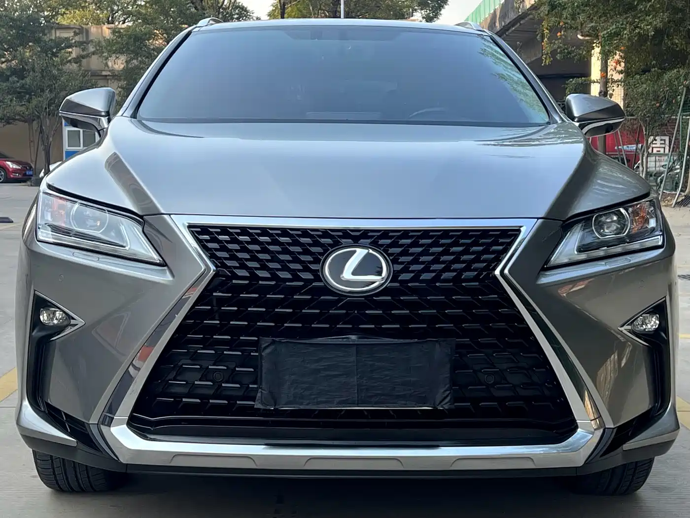 Lexus RX 2016 300 2WD Elite Edition (China V)