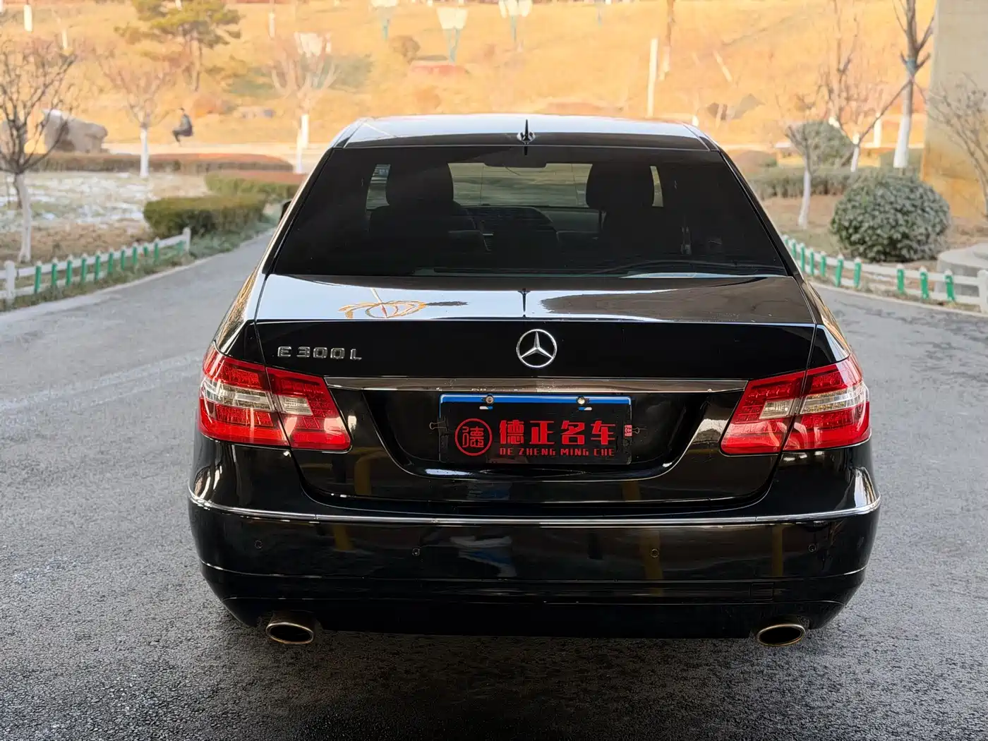 Mercedes-Benz E-Class 2013 E 300 L Elegance фото 6