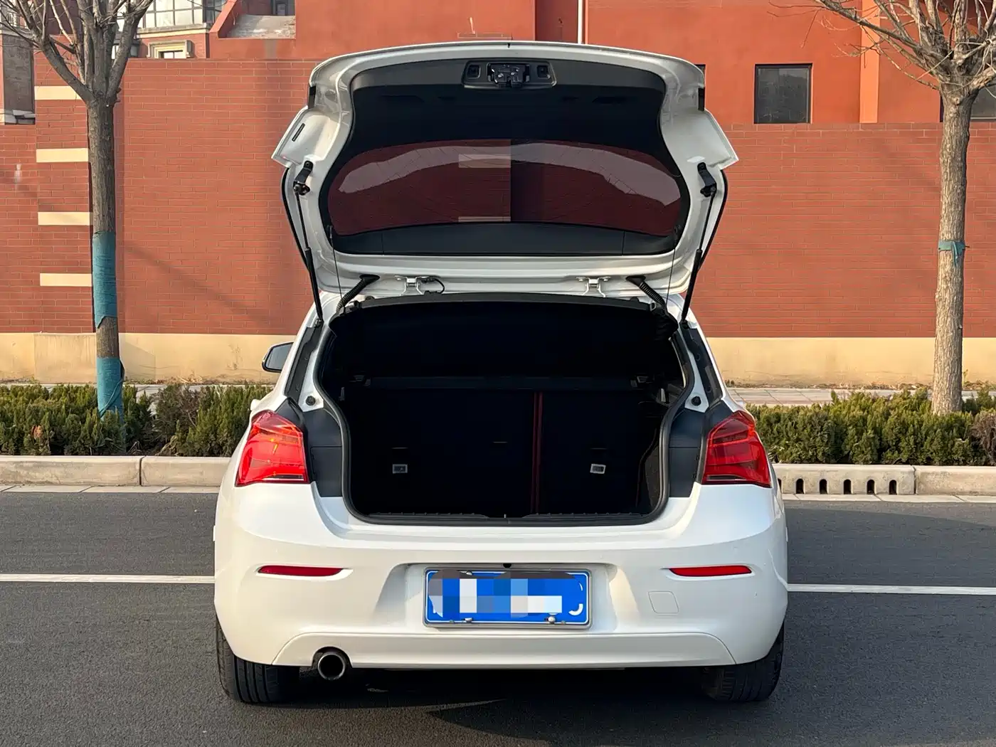 BMW 1 Series (Import) 2016 118i Leading фото 6