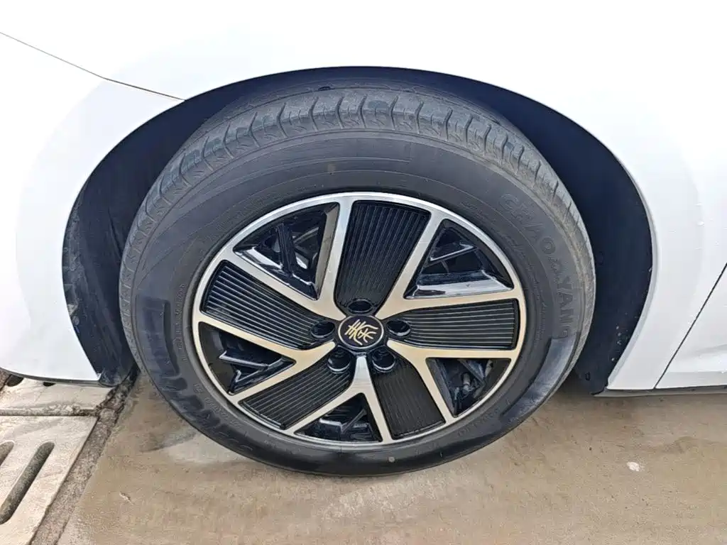 Фото 23 - BYD Qin L