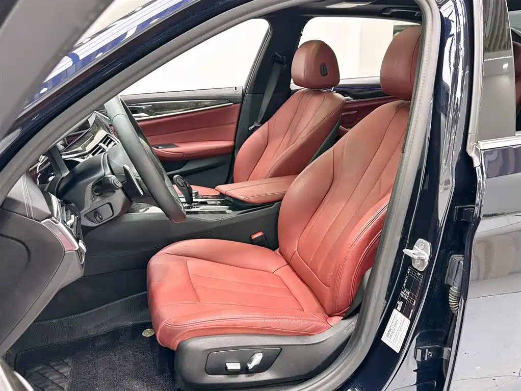 BMW 5 Series 2020 530Li Leading M Sport Package фото 8